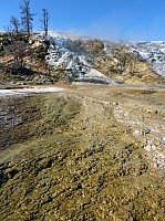 Yellowstone Mammoth Hotsprings (17).JPG